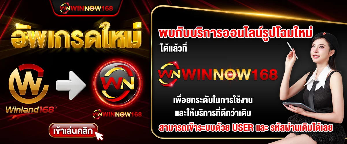 winnow168new.com